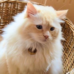 Meet your Posher, Kathryn